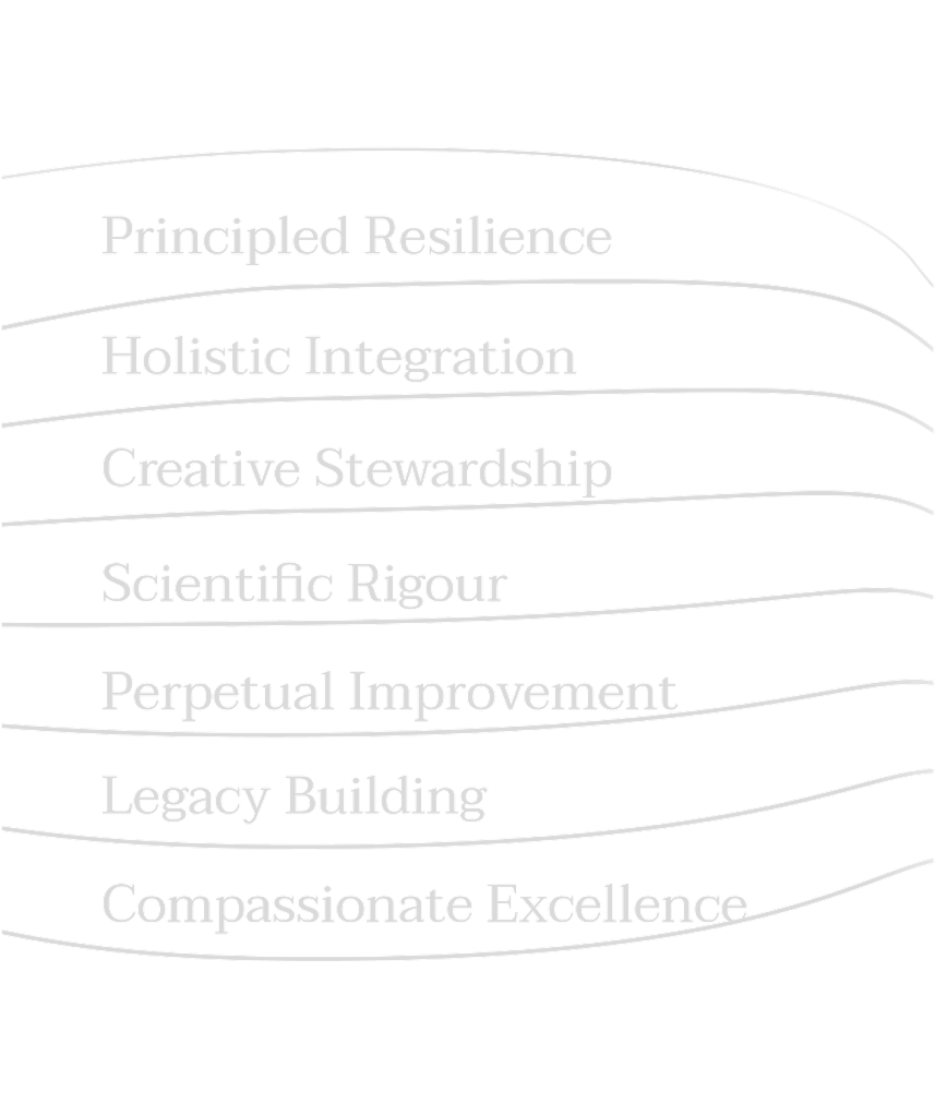 multiple live illustration